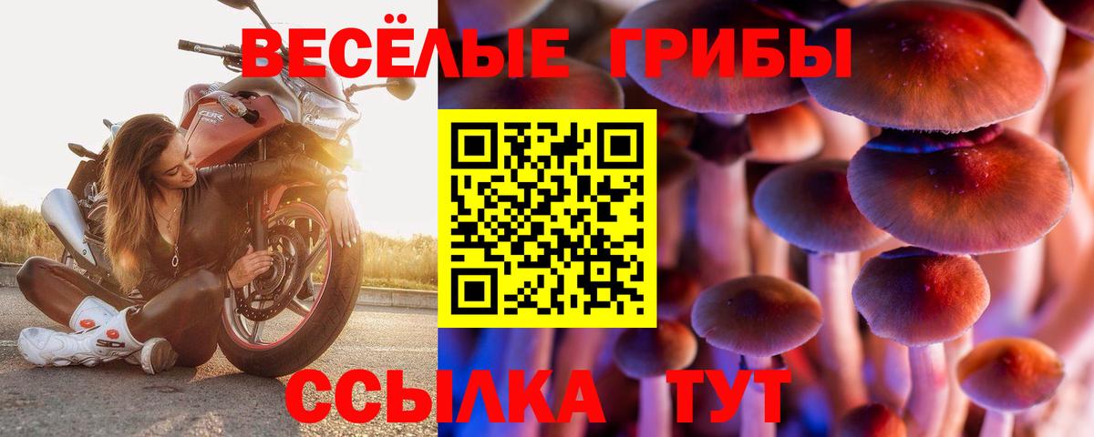 Галлюциногенные грибы MAGIC MUSHROOMS Сергиев Посад